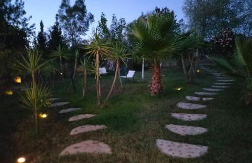 FINCA RIODIEL - Foto 31