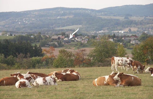 Spacious Cottage With 5 Bedrooms, Woodburning Stove, Sauna, Near Ski Lift - Photo 30