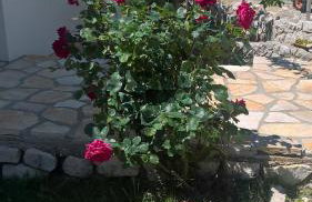 Apartments Krušvina - Foto 66