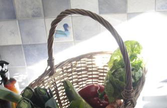 Les Chanterelles La souris des champs - Foto 19