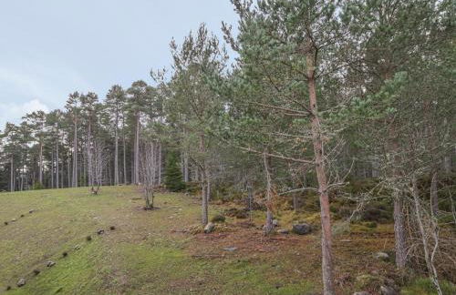 Osprey Apartment - Foto 39