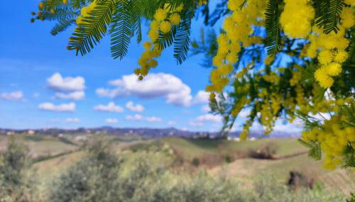 Tuscany Hills La Veduta - Foto 2