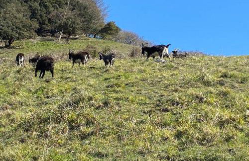 Clarendon View, Historic Apartment with Sea Views - Foto 28