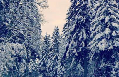 Appartement proche de la ville et du parc du Truchet - Foto 26