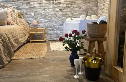 Loft sauna balnéothérapie - Foto 62