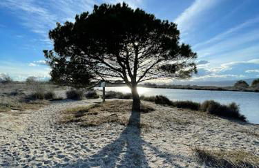 Charmante maison à Le Barcarès - Foto 11