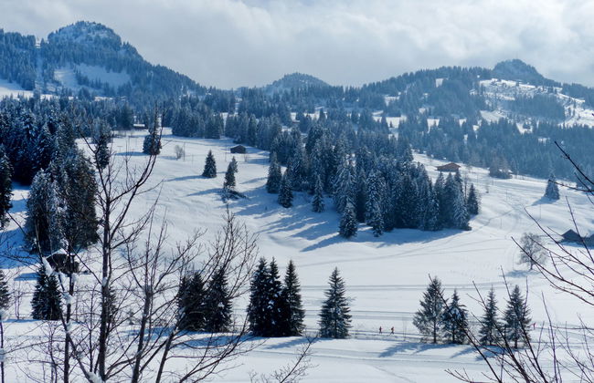 Chalet Ahorni - Foto 33