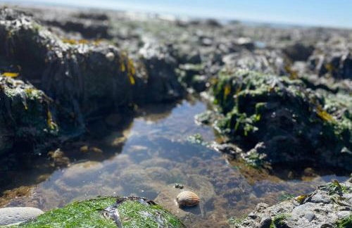 Modern Funky Private Chalet at the Beach - Foto 38