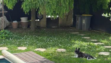 Gîte Lou Sabaï au pied des dentelles de Montmirail, piscine partagée - Photo 2