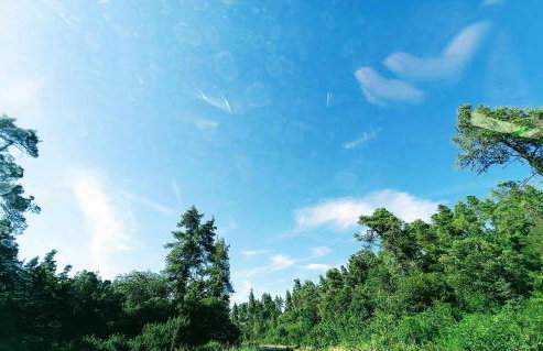 Villa Marilou Fourka - Foto 8