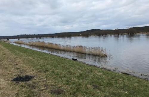 Altstadt Quartier 2 - Foto 18