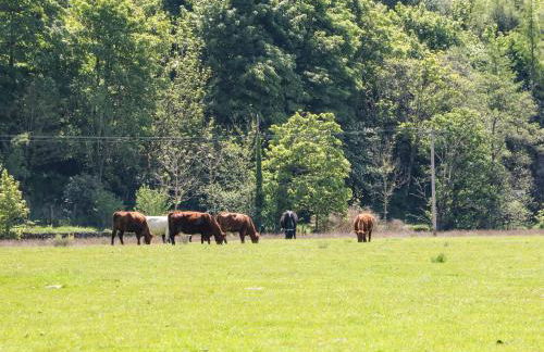 Smithy House - Foto 31