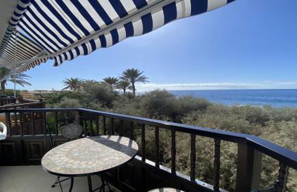 El BAJIO Nr 6 - Foto 1