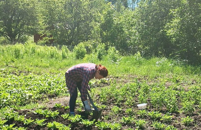 4 Person Holiday Home in Vaddo - Photo 3