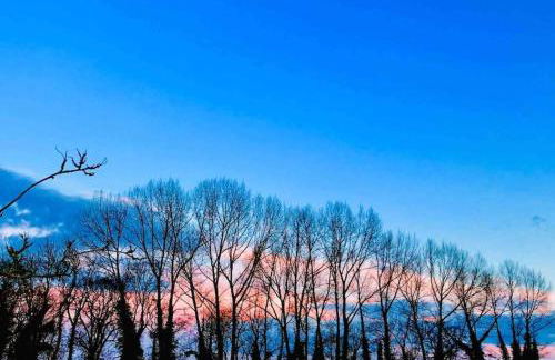 Moors Wood Relaxing ,Tranquil retreat with Hot Tub - Foto 24