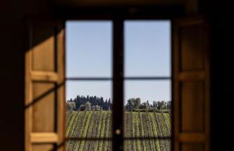 Casa Ruffino - Wine Relais - Foto 79