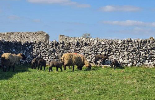 Dove View Hartington: luxury 3 bed cottage - Foto 24