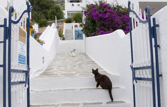 Tatsis Apartments - Foto 71