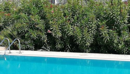 Casale el galet - Foto 4