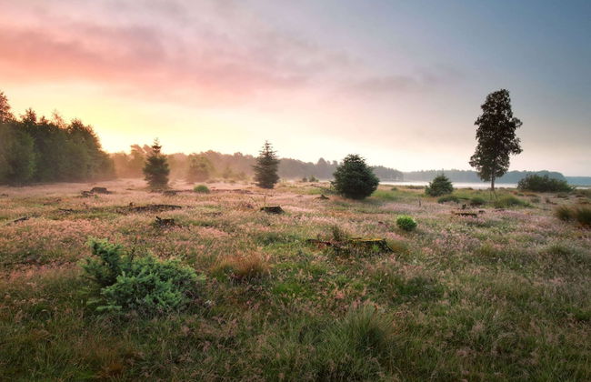 Single-storey House With Garden, in a Natural Area - Photo 16