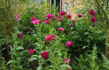 Watercress Barns - Photo 13