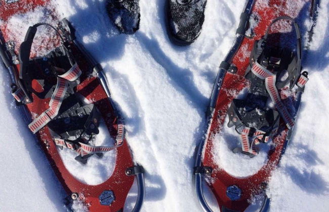 Rovaniemi Snow Adventure - Photo 2