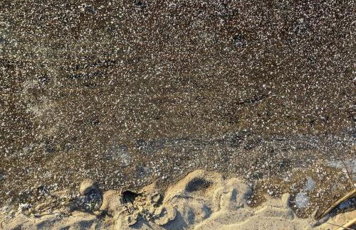 Haus am See - Foto 19