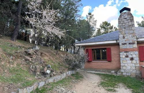 Casa para fiestas 16 personas, barbacoa y terraza - Photo 36