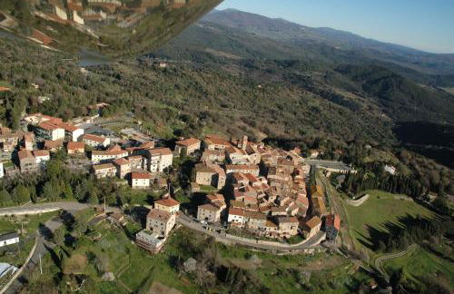 Il Fico Moro - Foto 29