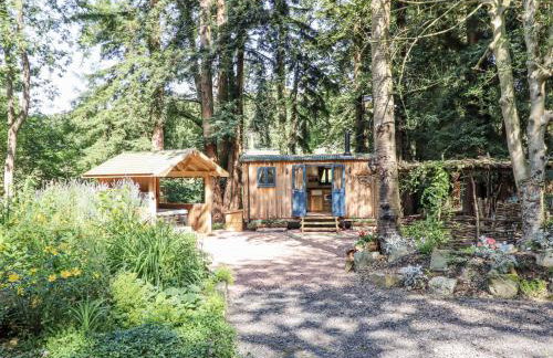 Tanglewood Shepherds Hut - Foto 14