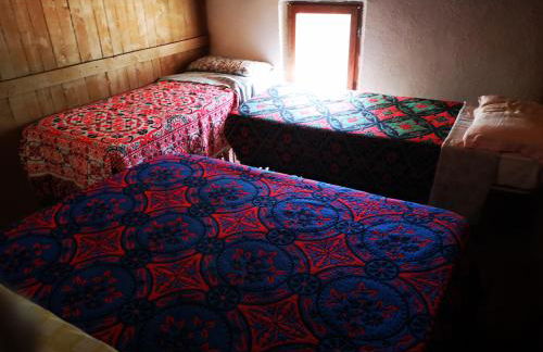 Pinnettu sardo casa di campagna in ecosistema insetti e animaletti simpatici in condivisione,Leggere attentamente Prima di prenotare - Foto 41