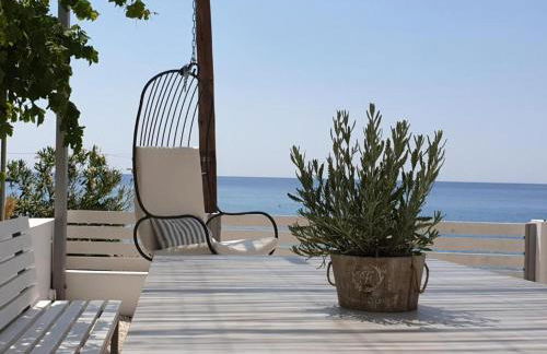 Summer Vibes - Photo 24