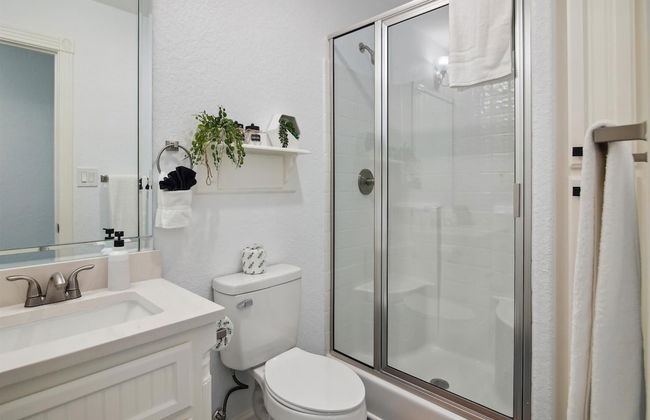 Birds of Paradise - Foto 12