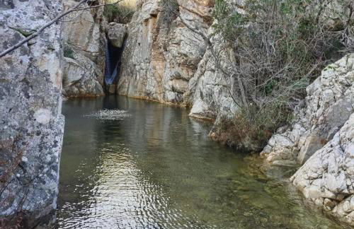 Appartamento Residenziale Trilocale Aresula San Teodoro - Foto 19