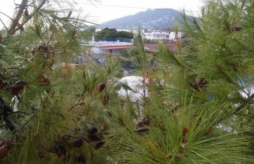 Seabreeze Home - Foto 30