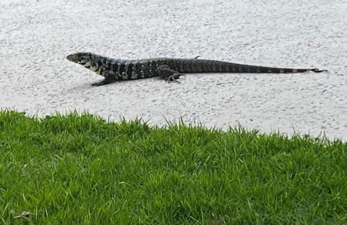 Chácara do Nari - Casa com Piscina em Condomínio Fechado - Photo 55