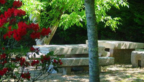 Casa das Torres da Facha - Foto 5