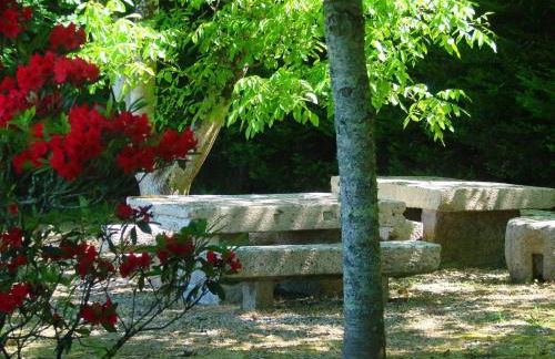 Casa das Torres da Facha - Foto 5