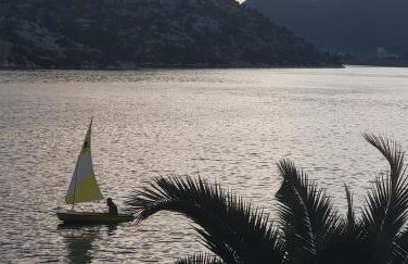 Apartments Damić - Photo 40