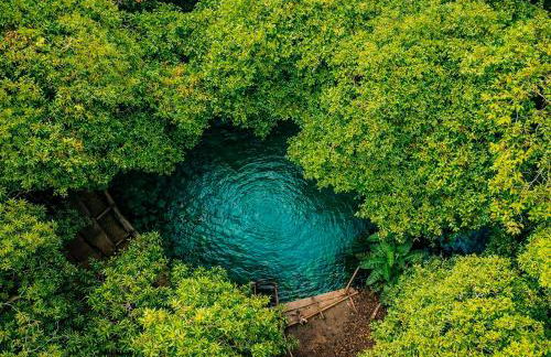 Casa em Aurora do Tocantins - Foto 3