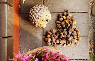 INNA BAJKA - Foto 80