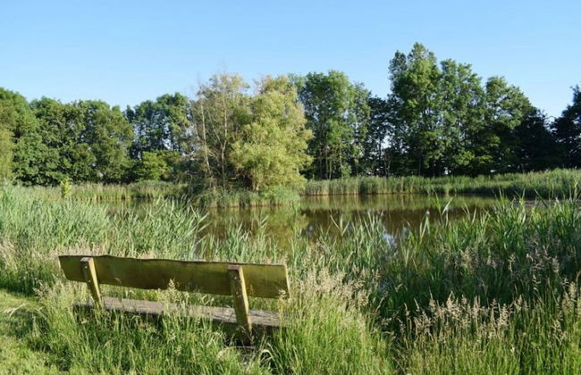 Reetdachhaus Bongsiel - Photo 56