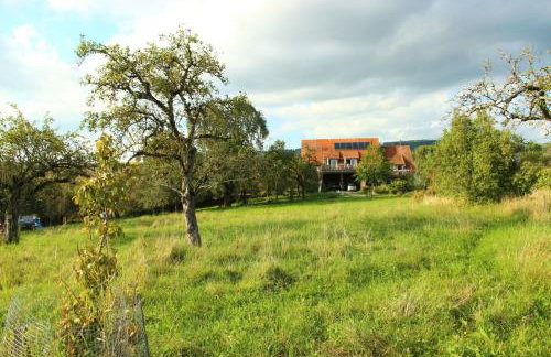 Hof Sinnenberg - Photo 10