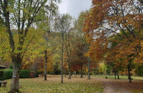 Camping Pré Vologne - Foto 15