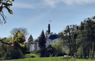 Das kleine, gemütliche Ferienhaus - Foto 50