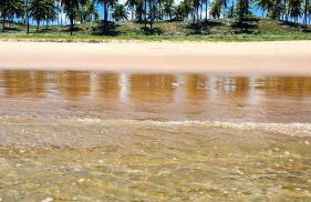 Casa e Conforto na Praia de Imbassaí - Foto 8
