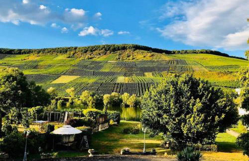 Wohnen direkt an Mosel und Goldbach - Foto 49