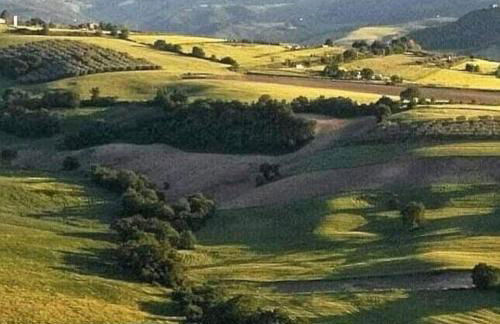 Ritrovo dell'acqua - Straculatore - Foto 35