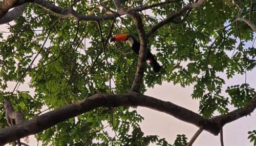Paraiso de Aruanã - Rio Araguaia - Imóvel recém construído!! NOVÍSSIMO!!!! A PISCINA É AQUECIDA!!! - Foto 3