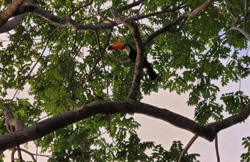 Paraiso de Aruanã - Rio Araguaia - Imóvel recém construído!! NOVÍSSIMO!!!! A PISCINA É AQUECIDA!!! - Foto 3